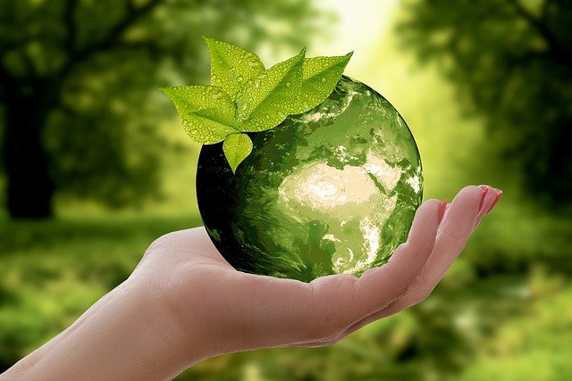 Sustainable development consultants and institutional teams collaborating on green finance development programmes, capacity building, and low-carbon strategy implementation.