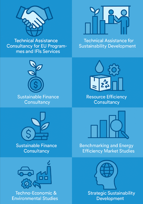 Infographic showing technical assistance services for sustainability, including EU programmes, IFI consulting, energy efficiency training, sustainable finance, resource and carbon management, and strategic decarbonization development.