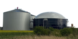 Biogas Energy Cogeneration Plant
